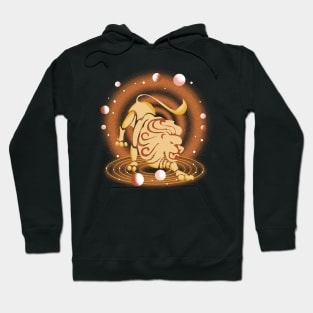 Leo Zodiac Sign Hoodie